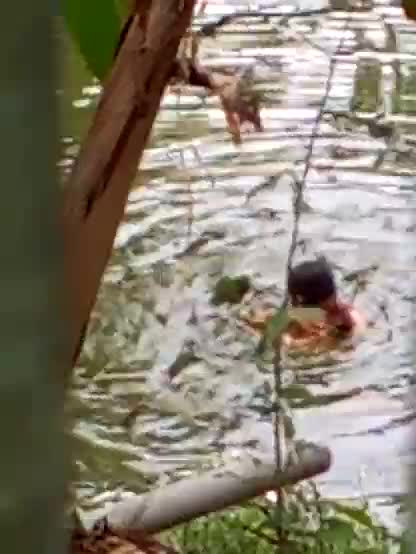 Bangla girl rina bathing in pond